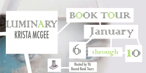 Luminary banner copy