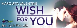 Wish-For-You-Tour-Banner