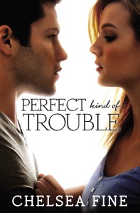 Fine_PerfectKindofTrouble_ebook