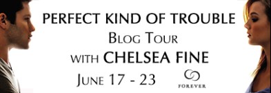 Perfect-Kind-of-Trouble-Blog-Tour
