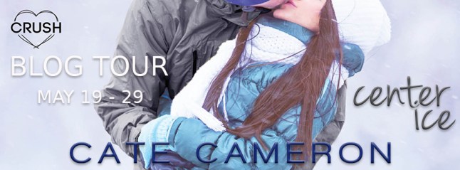 center ice tour banner