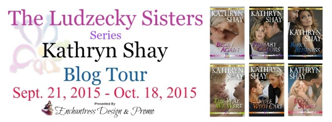 The Ludzecky Sister Series Banner