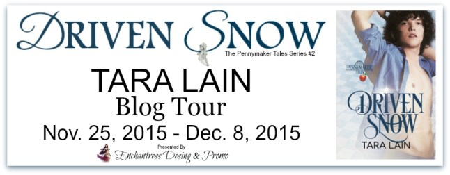 Driven Snow Blog Tour Banner