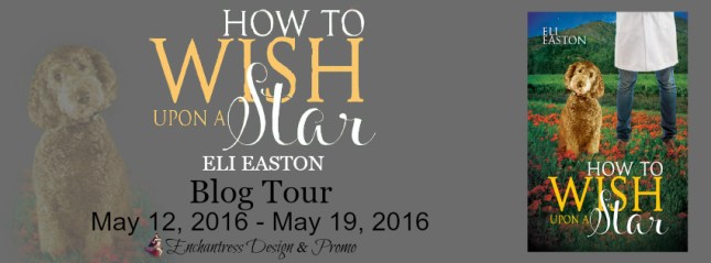 How to Wish Upon a Star Blog Tour Banner