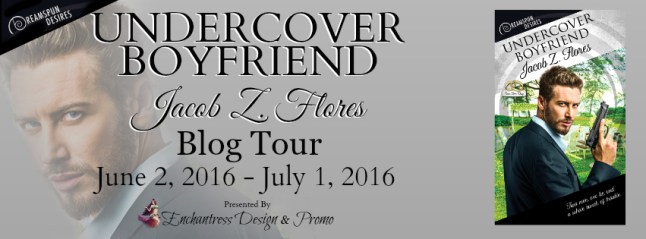 Undercover Boyfriend Blog Tour Banner
