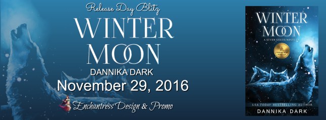 banner-winter-moon-by-dannika-dark