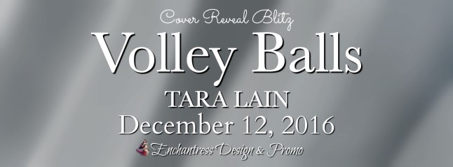 banner-crb-volley-balls-by-tara-lain